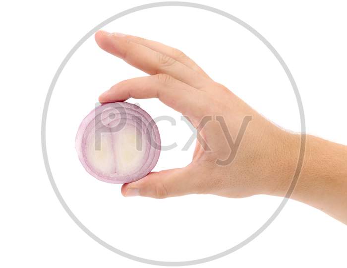 Hand Holding Onion Circle. Isolated On A White Background.