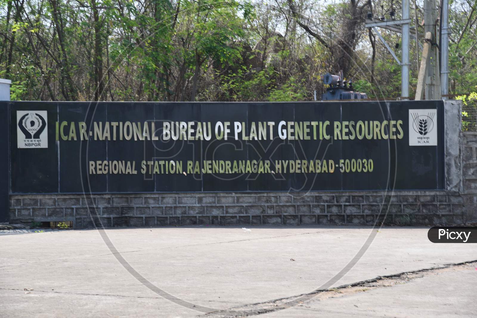 ICAR  National Bureau of Plant And Genetic Research , Hyderabad