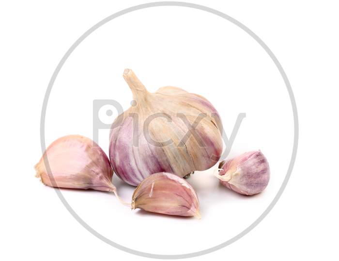 Close Up Of Garlic And Cloves. Isolated On A White Background.
