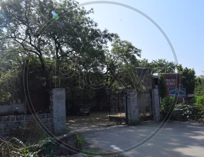 Telangana Poultry Research Station