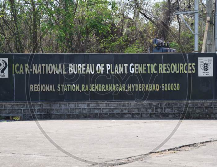 ICAR  National Bureau of Plant And Genetic Research , Hyderabad