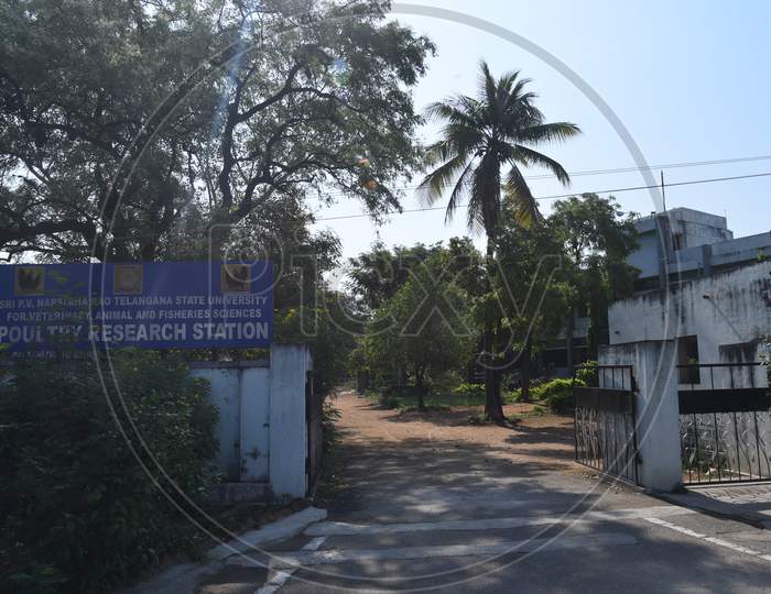 Telangana Poultry Research Station