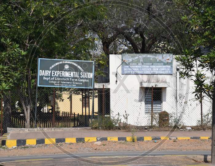 Shri PV Narasimha Rao Telangana State University  Dairy Experimental Station