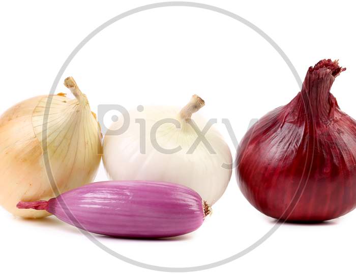 Different Types Of Onion. Isolated On A White Background.
