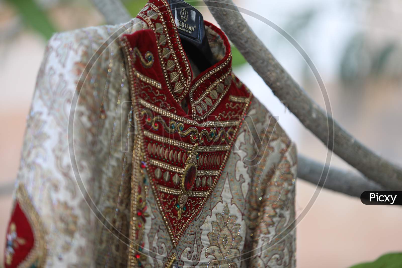 Elegant Dress of Bride At an Indian Wedding