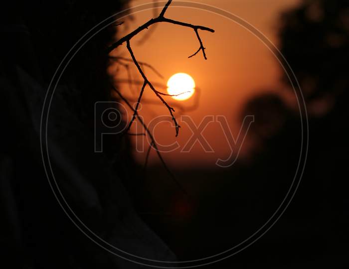 Red-Orange Rising Sun Through The Branches Of Trees
