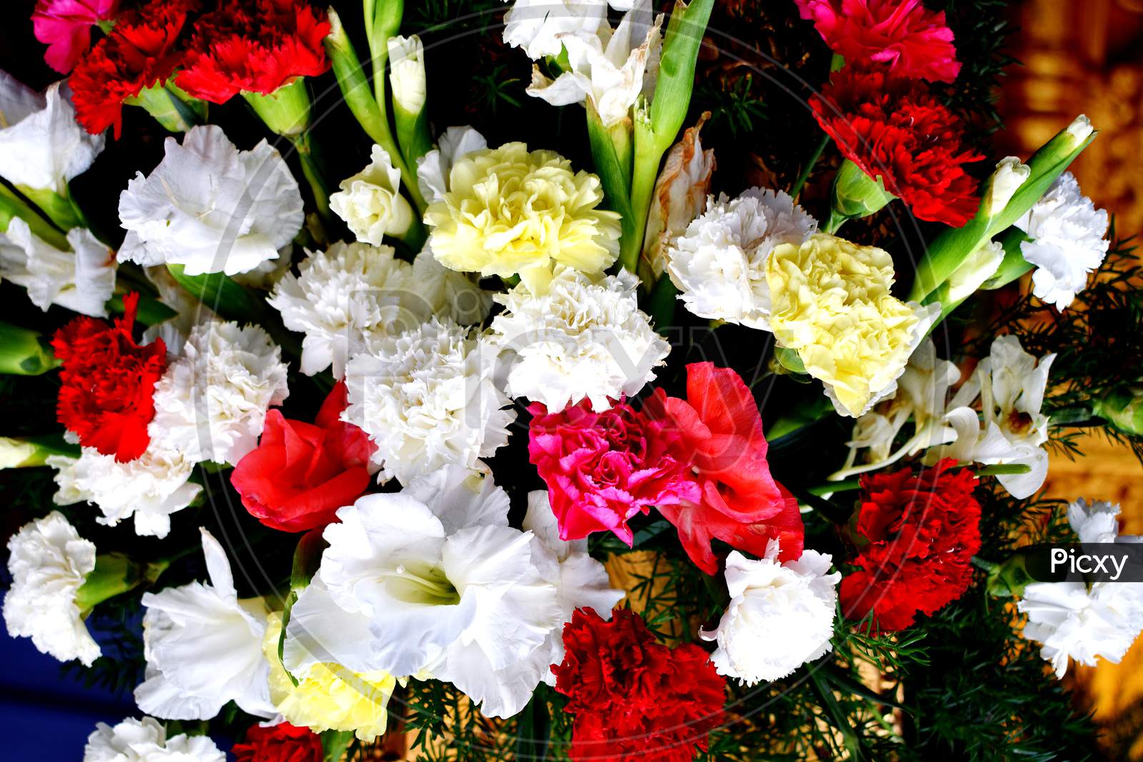 Bunch Of Fresh And Colourful Flowers