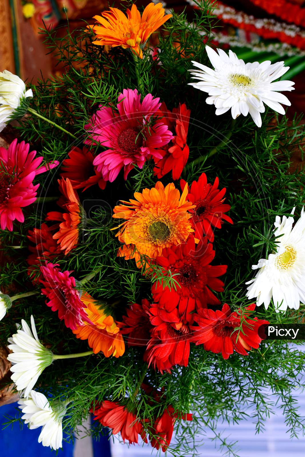 Bunch Of Fresh And Colourful Flowers