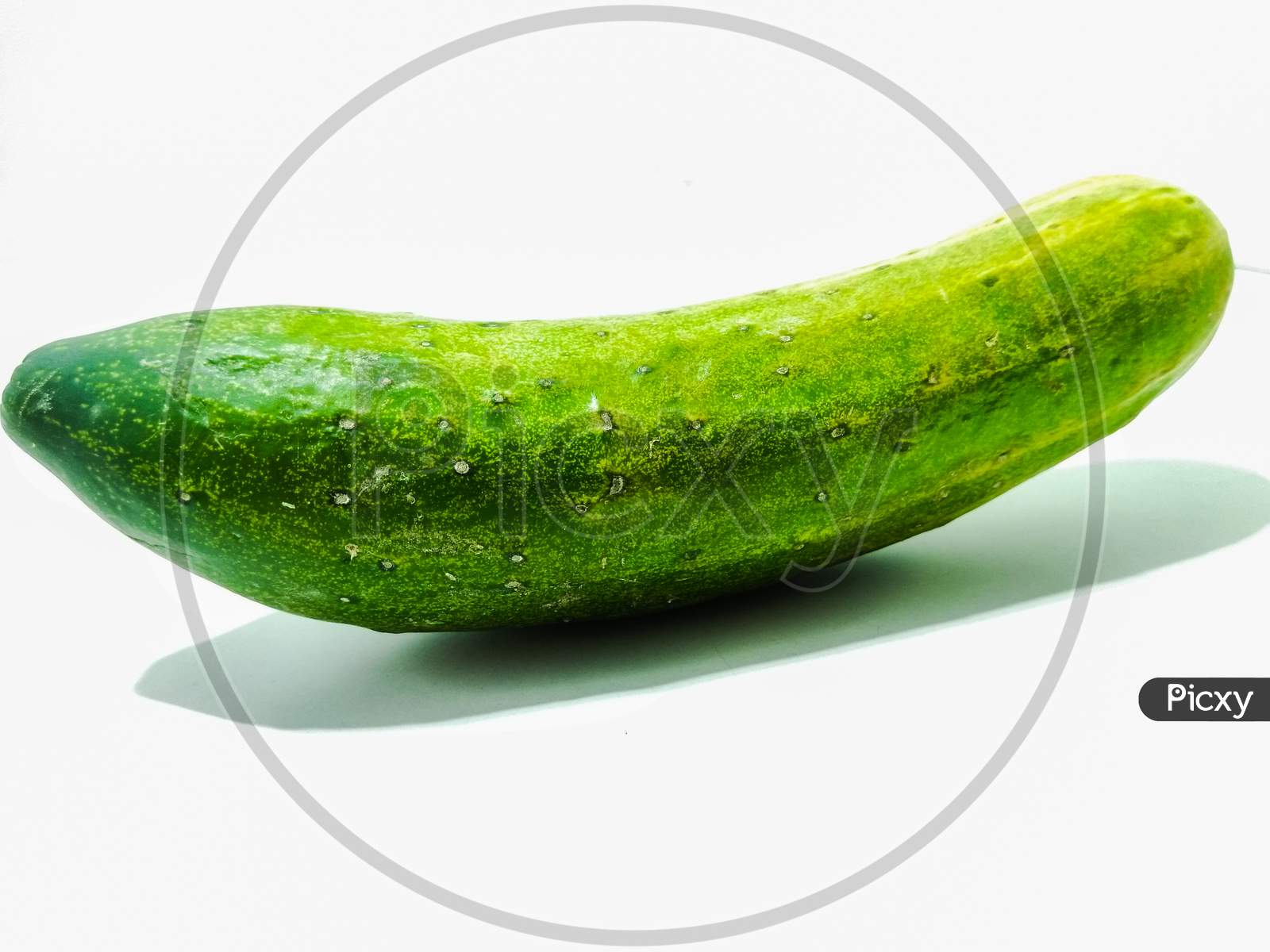 A picture of cucumber