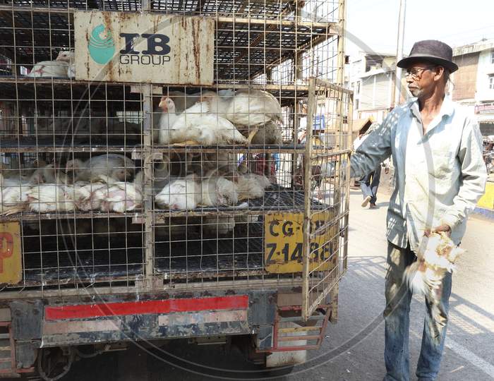 Indian broiler van carrying chicken at street, in Raipur.