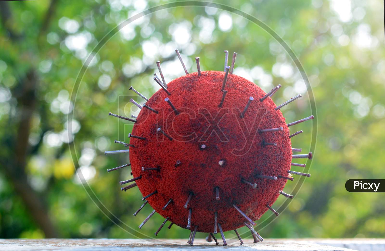 Corona Virus Model