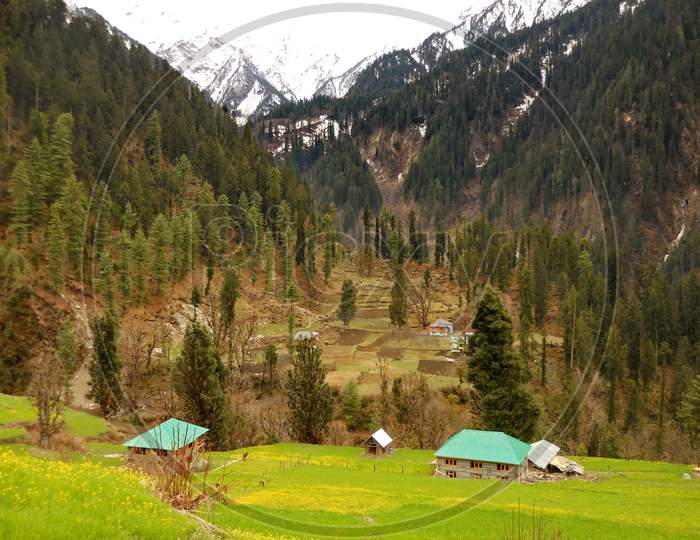 Close up view of a village in hills of Himachal Pradesh.