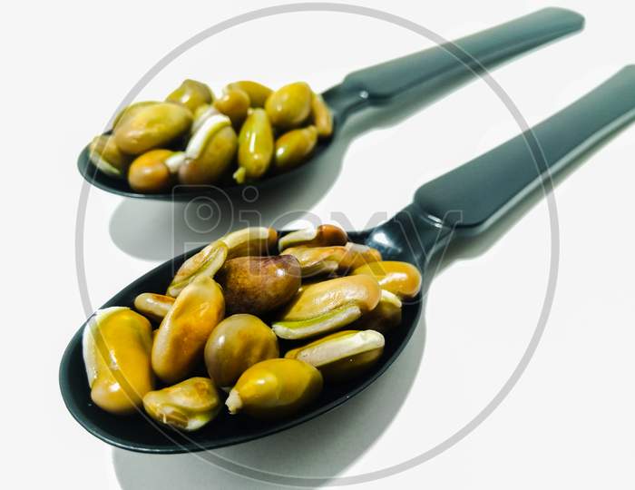Beans or Kidney Beans With Spoon Over an isolated White Background