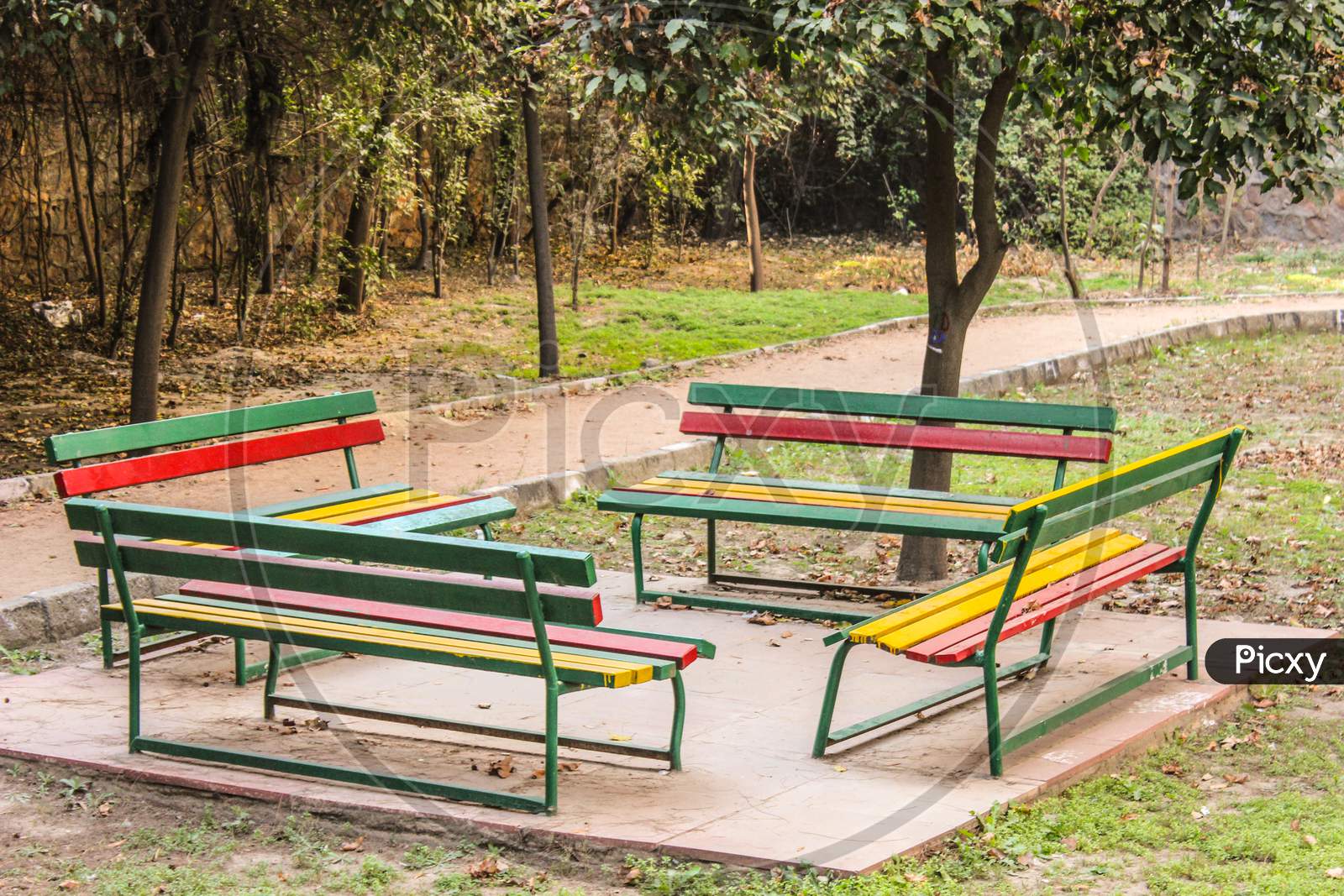 Benches In an Park