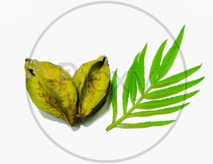 Star Fruit or Carambola Fruit With Leaf Over an Isolated White Background