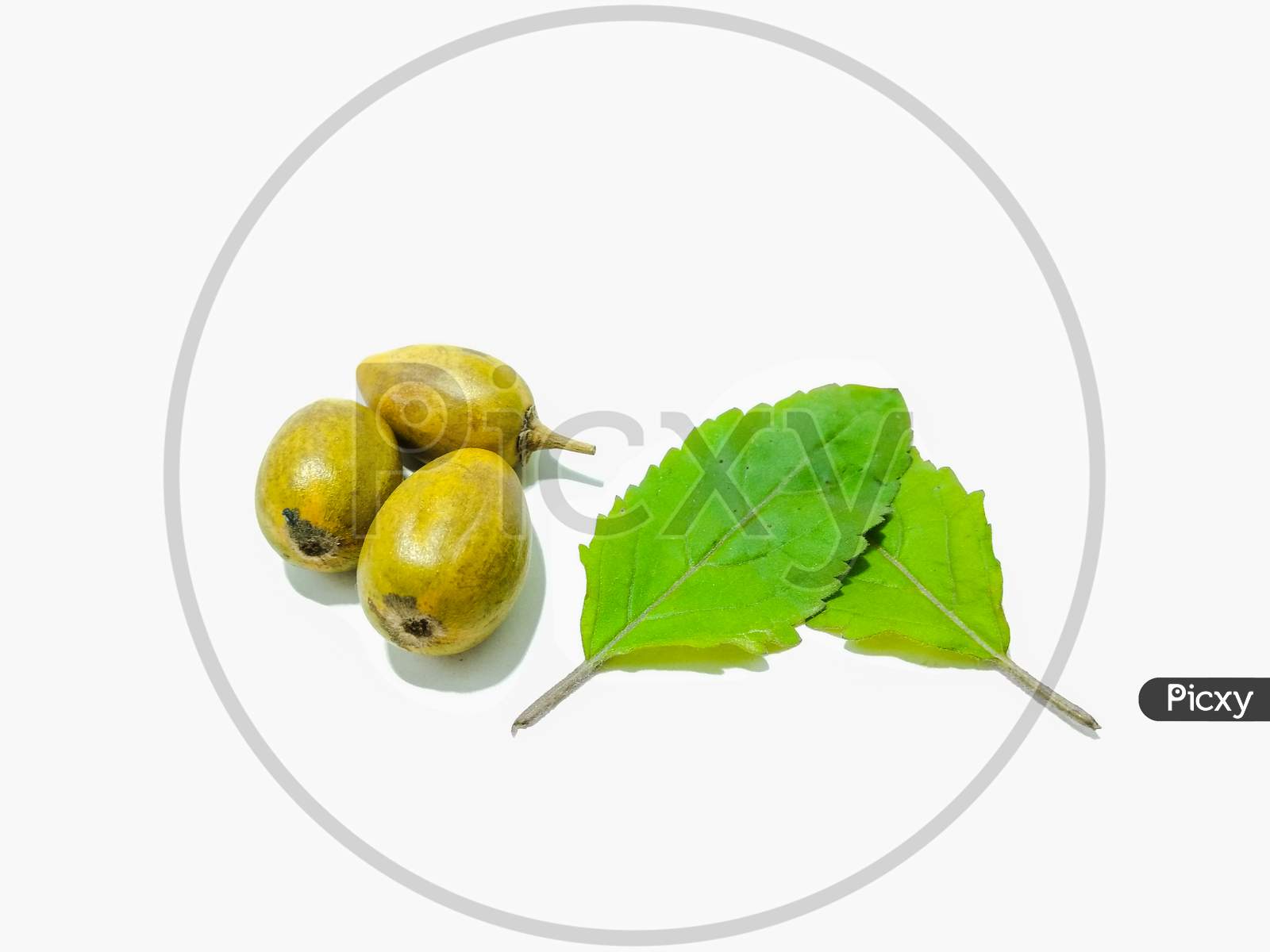 Indian Berry  Fruit With a Green Leaf Over an Isolated White Background