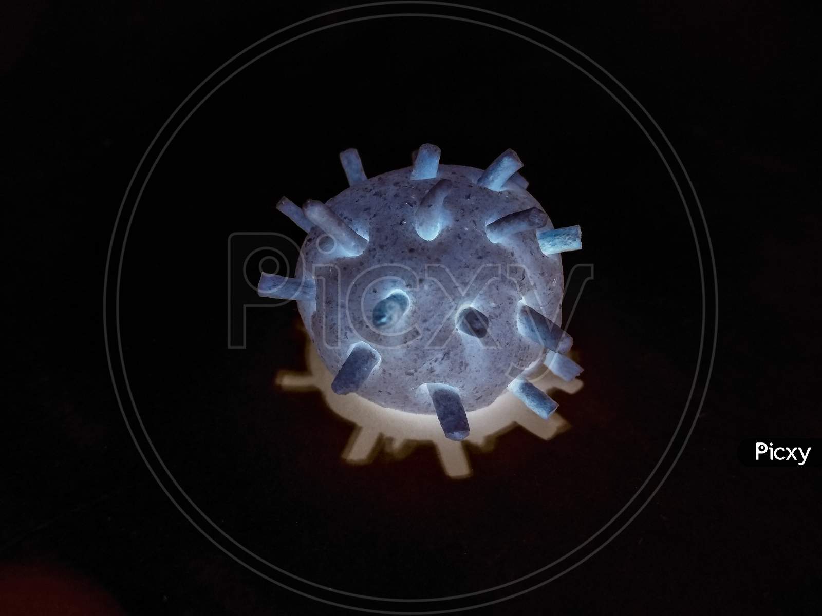 A picture of corona virus