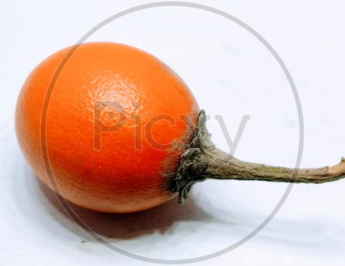 A picture of plum