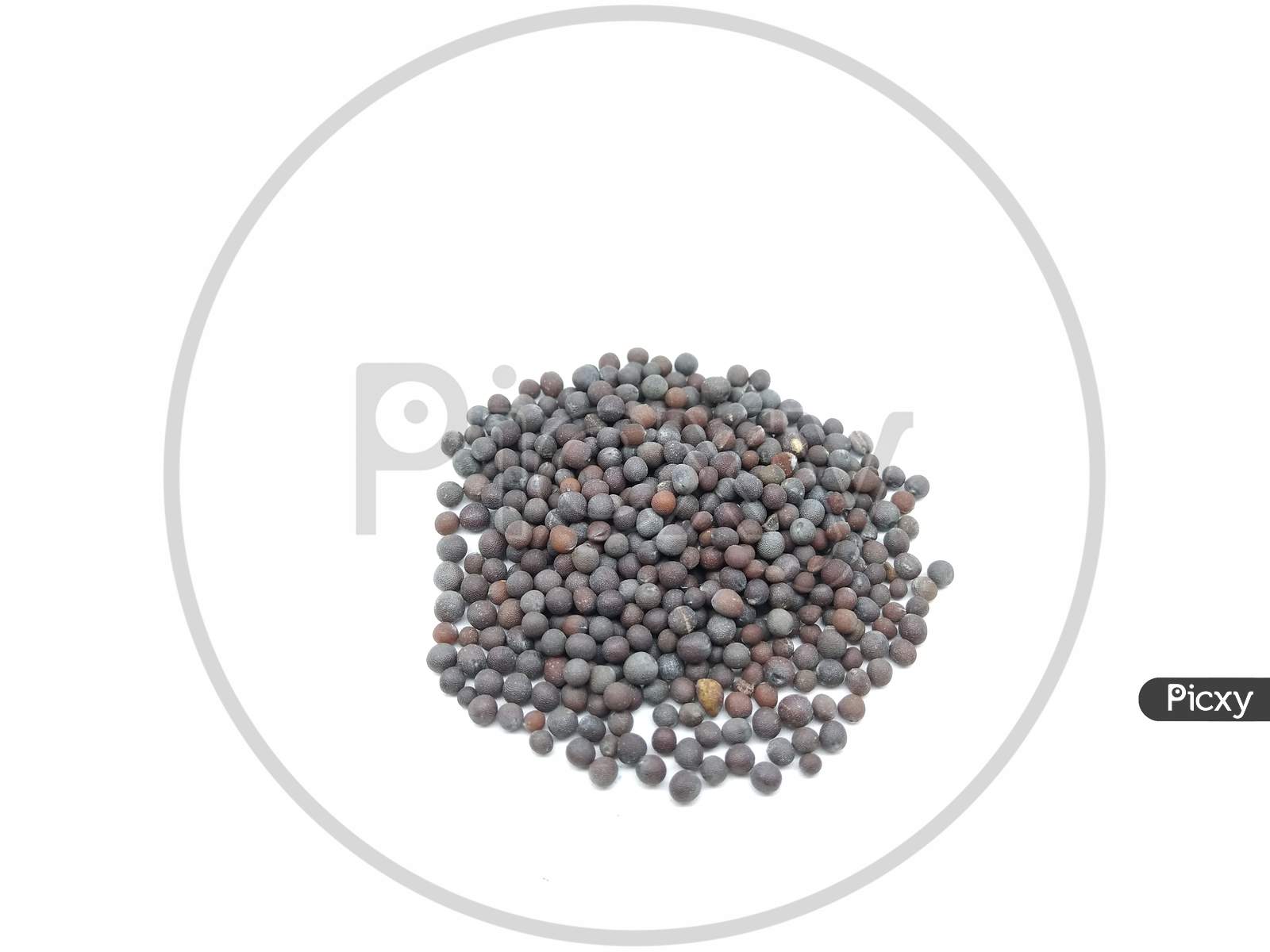 Mustard Seeds Over an Isolated White Background