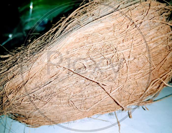 A picture of coconut
