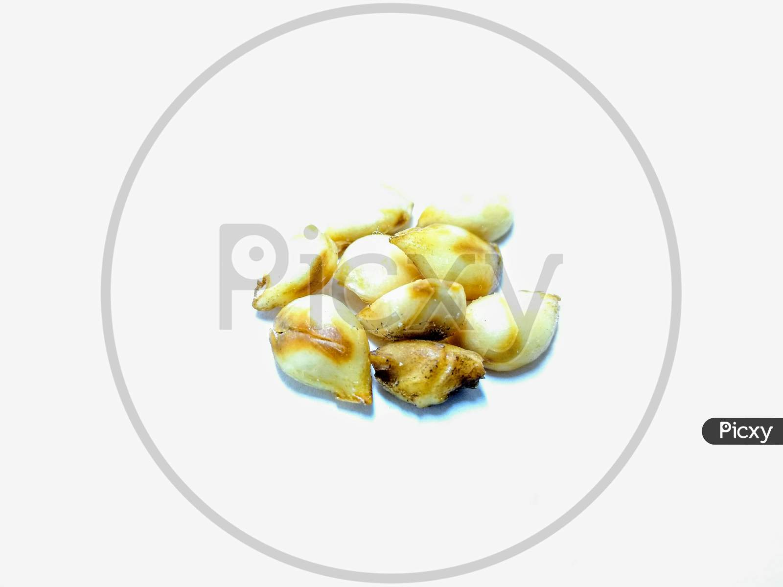 Garlic Closeup Over an isolated White Background