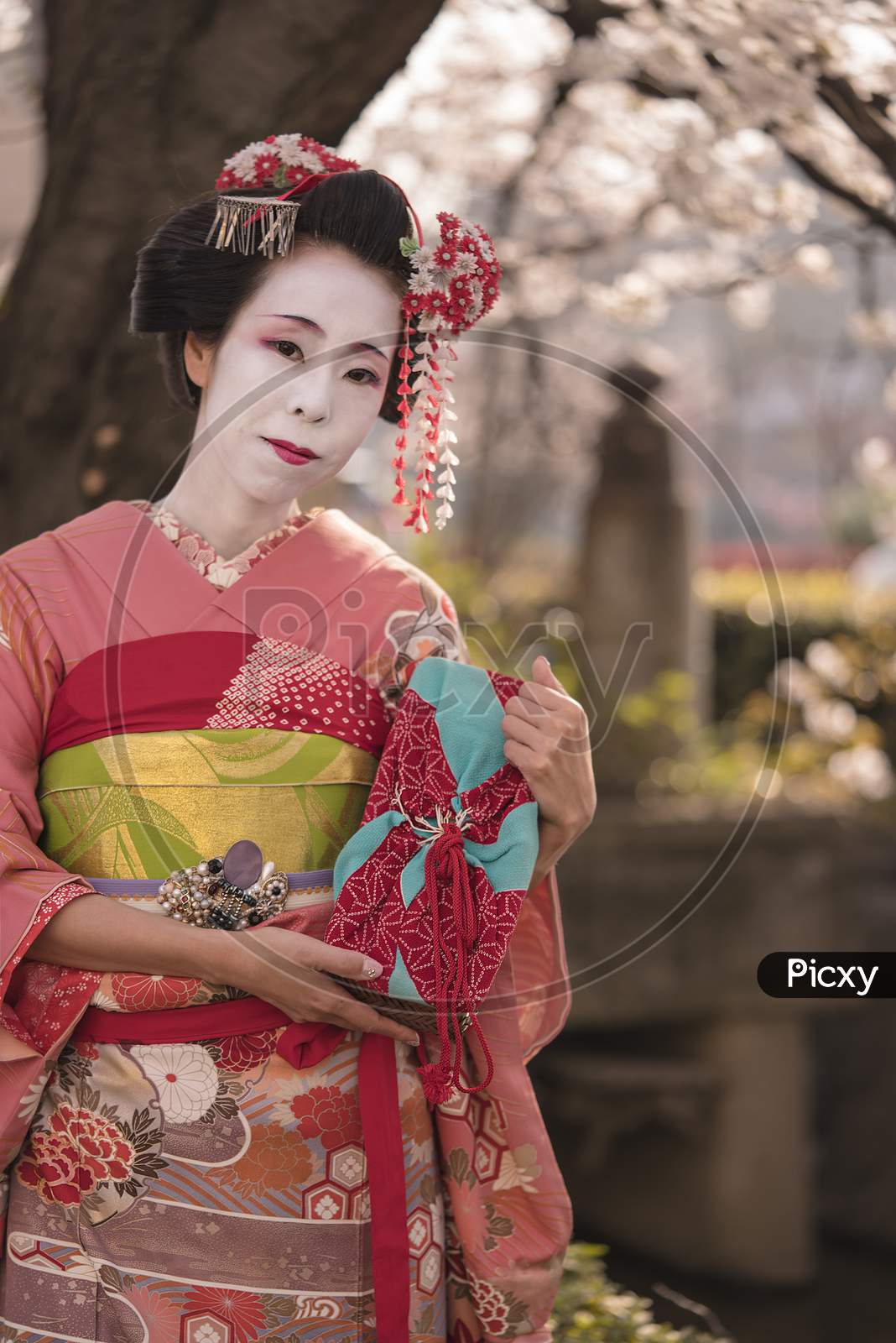 Image Of Maiko In Kimono Posing In Front Of A Cherry Blossom Near A Bridge Of The Kennin Temple In Kyoto Aj Picxy