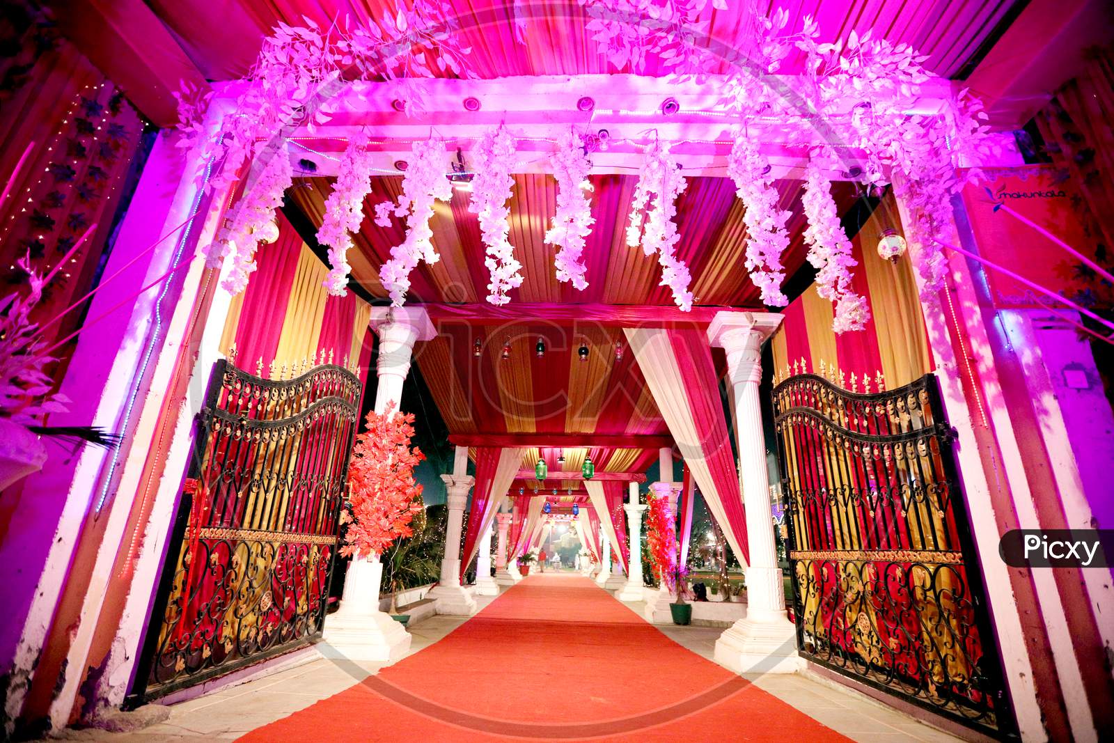 Image of Entrance Gate With Light Bulb Decor In Outdoor Party ...