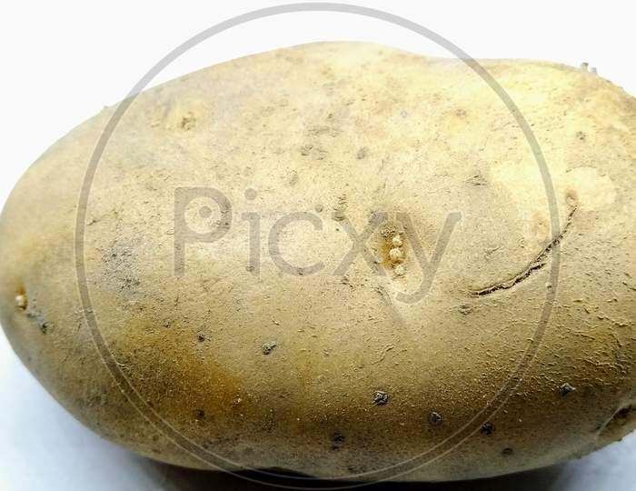 Potato Closeup On White Background