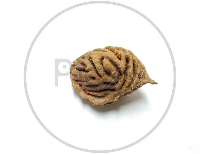 Apricot Seed Over an Isolated White  Background