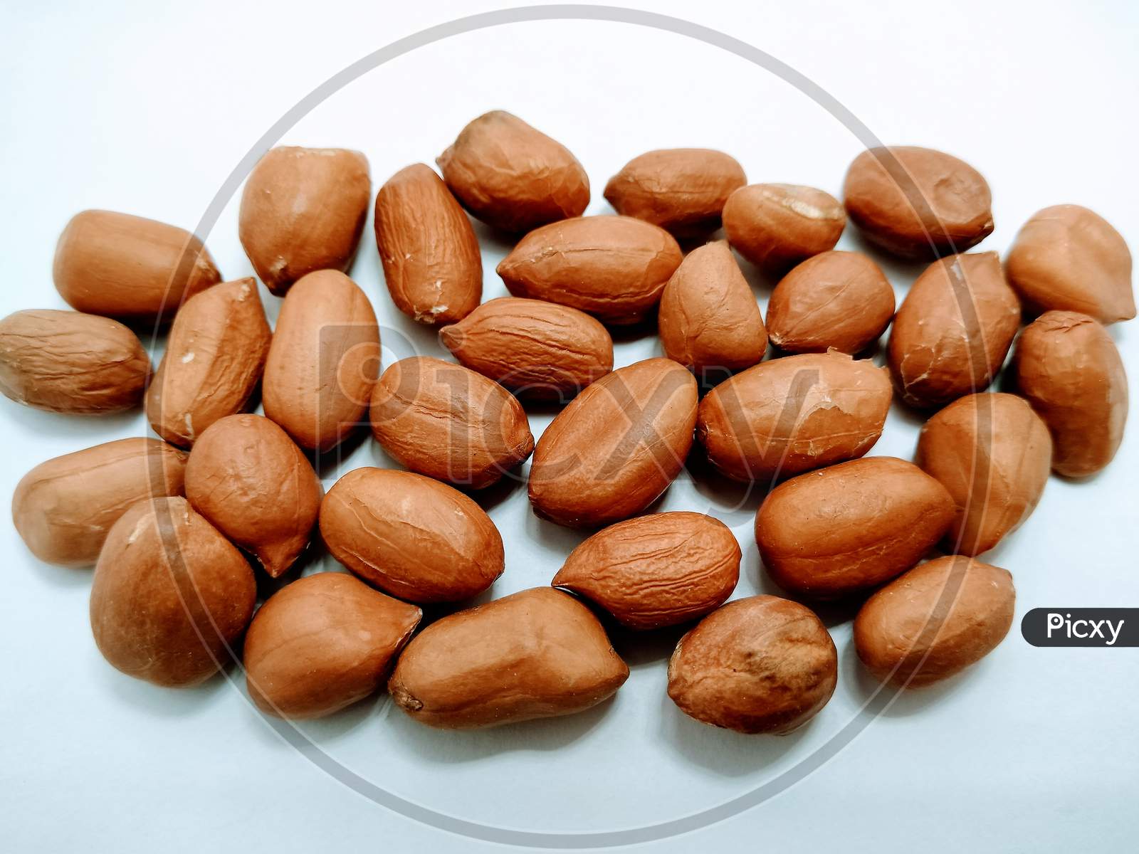 Peanuts or Ground nuts Over an isolated White Background