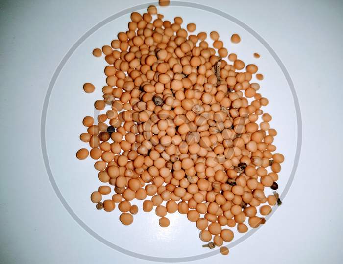 yellow Mustard Seeds on White Background