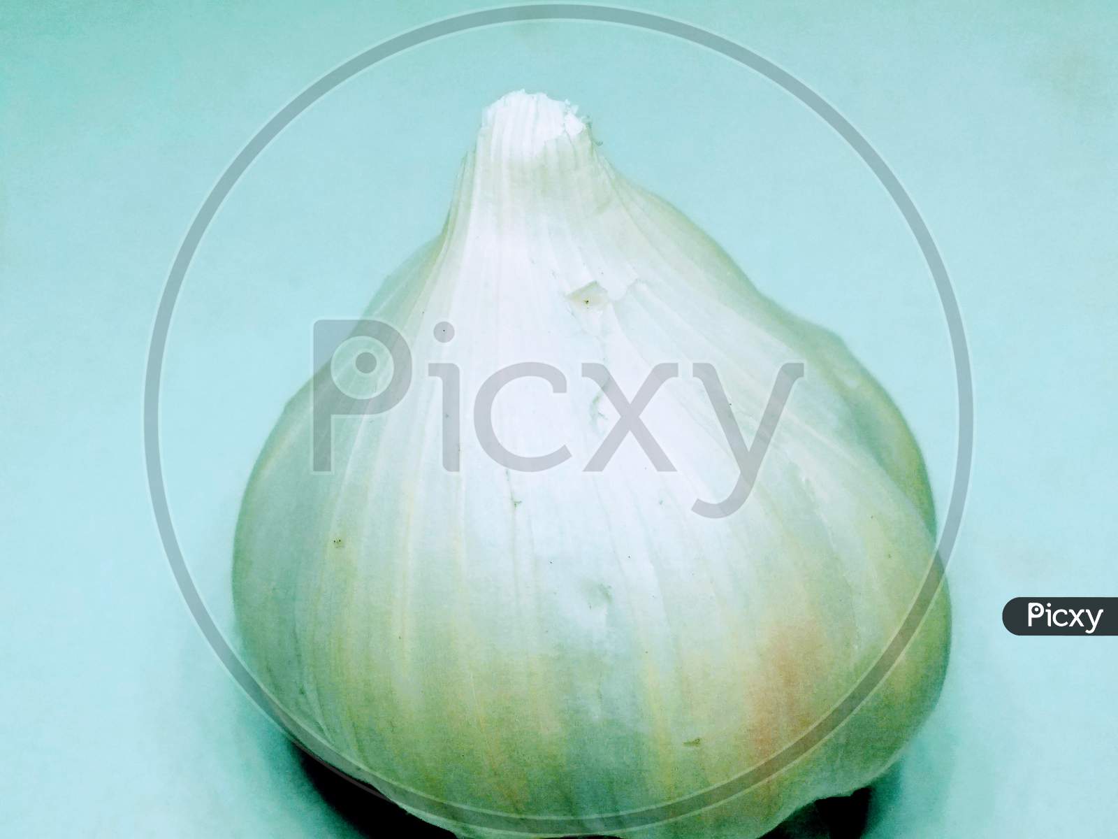 A picture of garlic