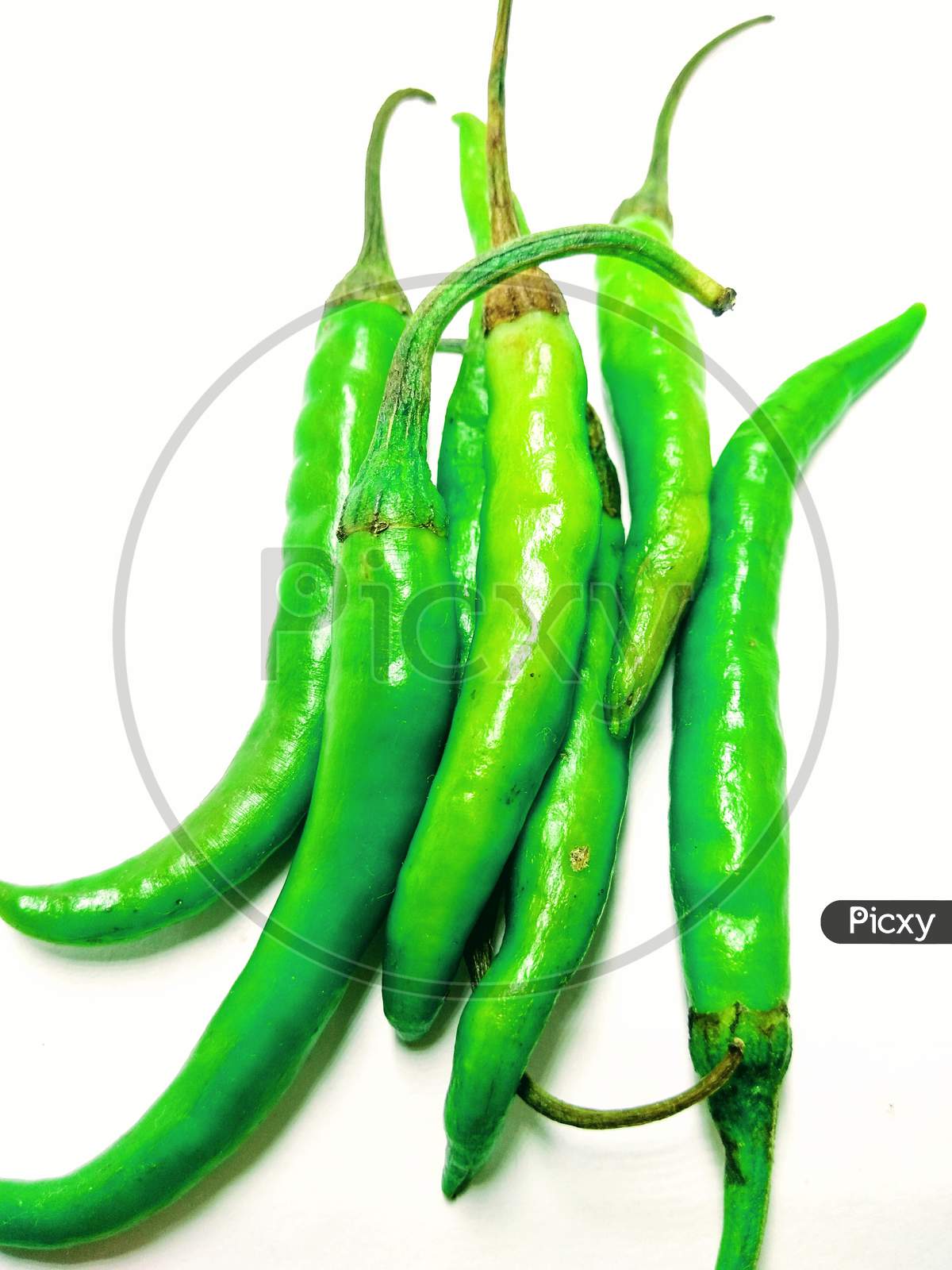 Green Chili Over an Isolated White Background