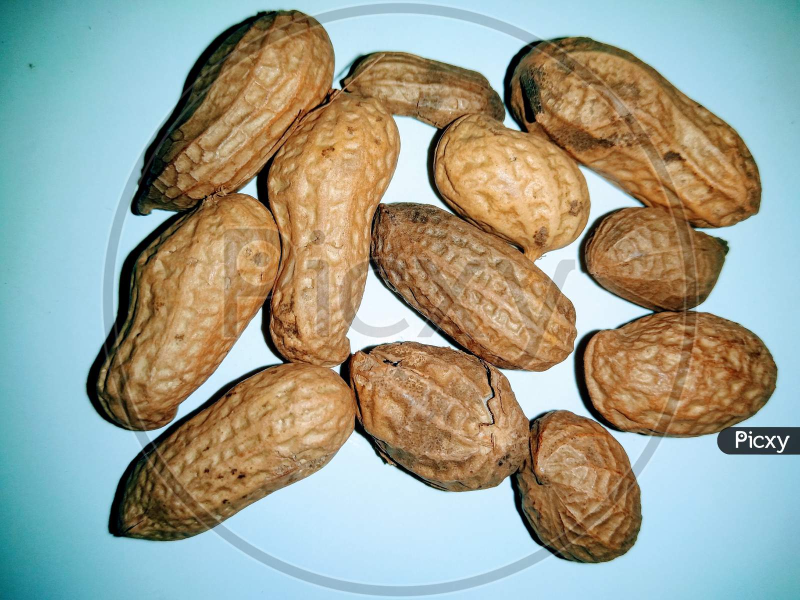 Groundnuts on White Background