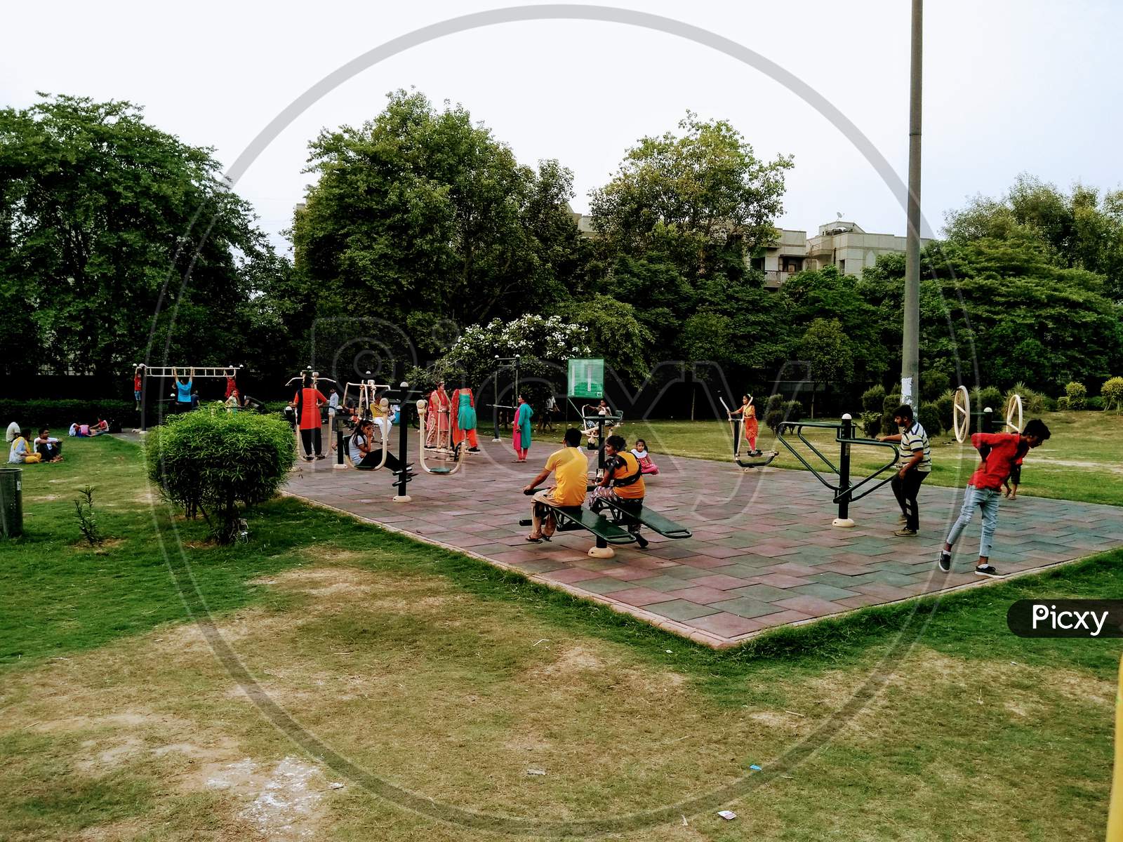 People Playing in an Park
