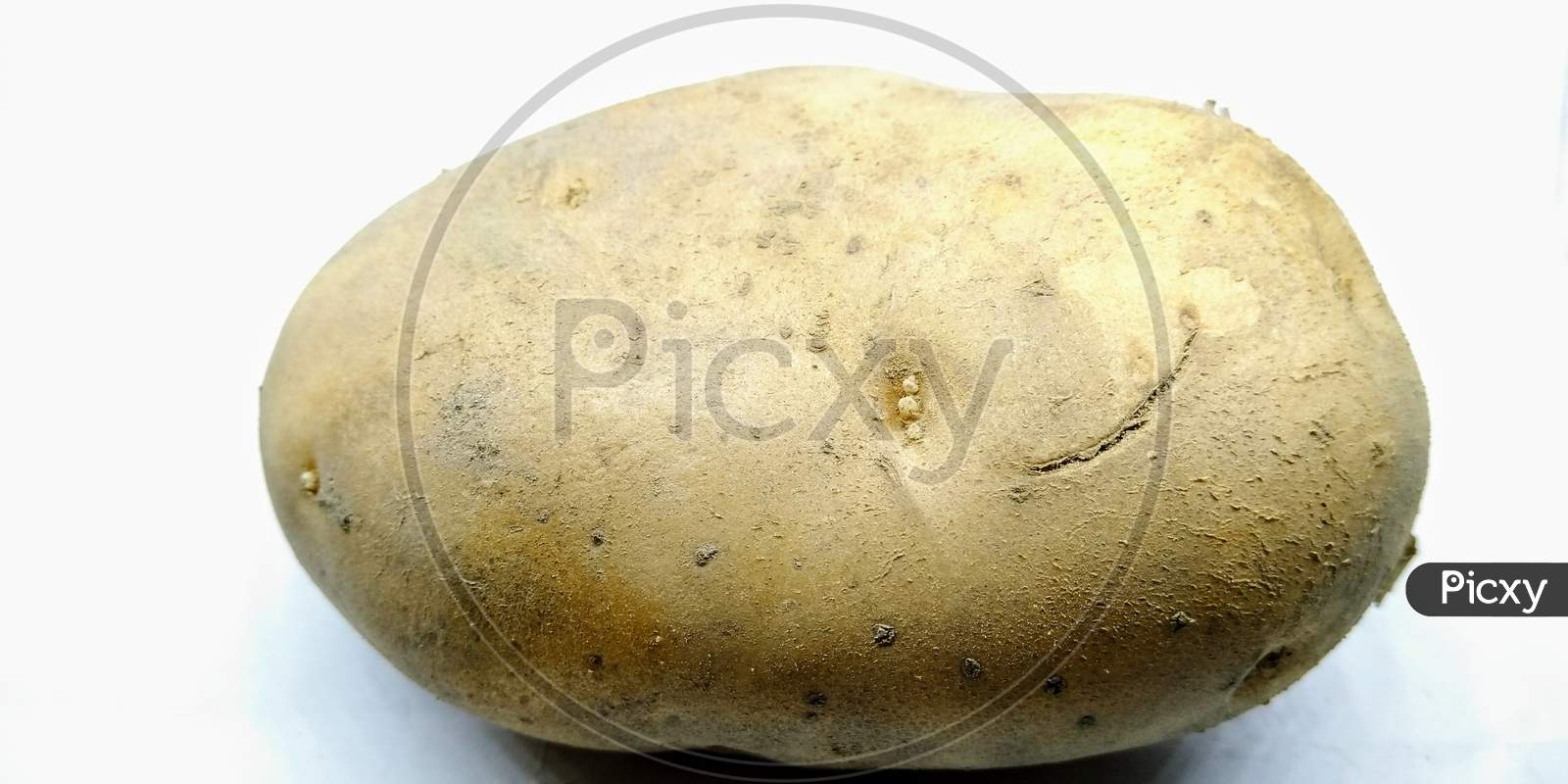 Potato Closeup On White Background