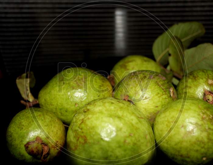 Guava Fruit Over an Isolated Back Background