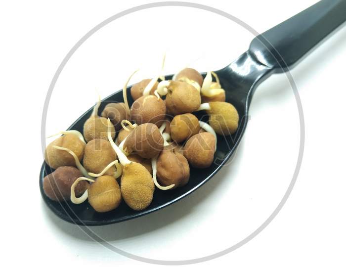 Sprouts Of Bengal Gram On White Background
