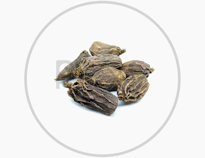 Dried Indian Spices Over an Isolated White Background