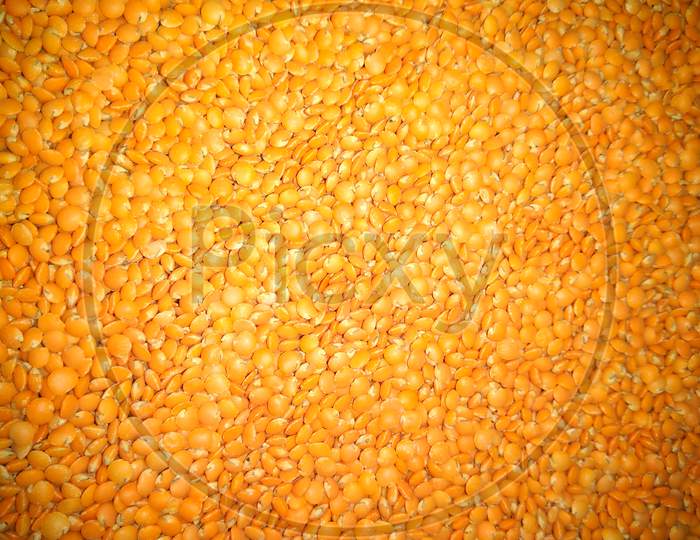 A picture of lentil