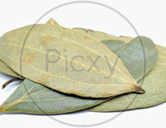 Bay Leaf or Spice leaf or Biryani Leaf  Closeup
