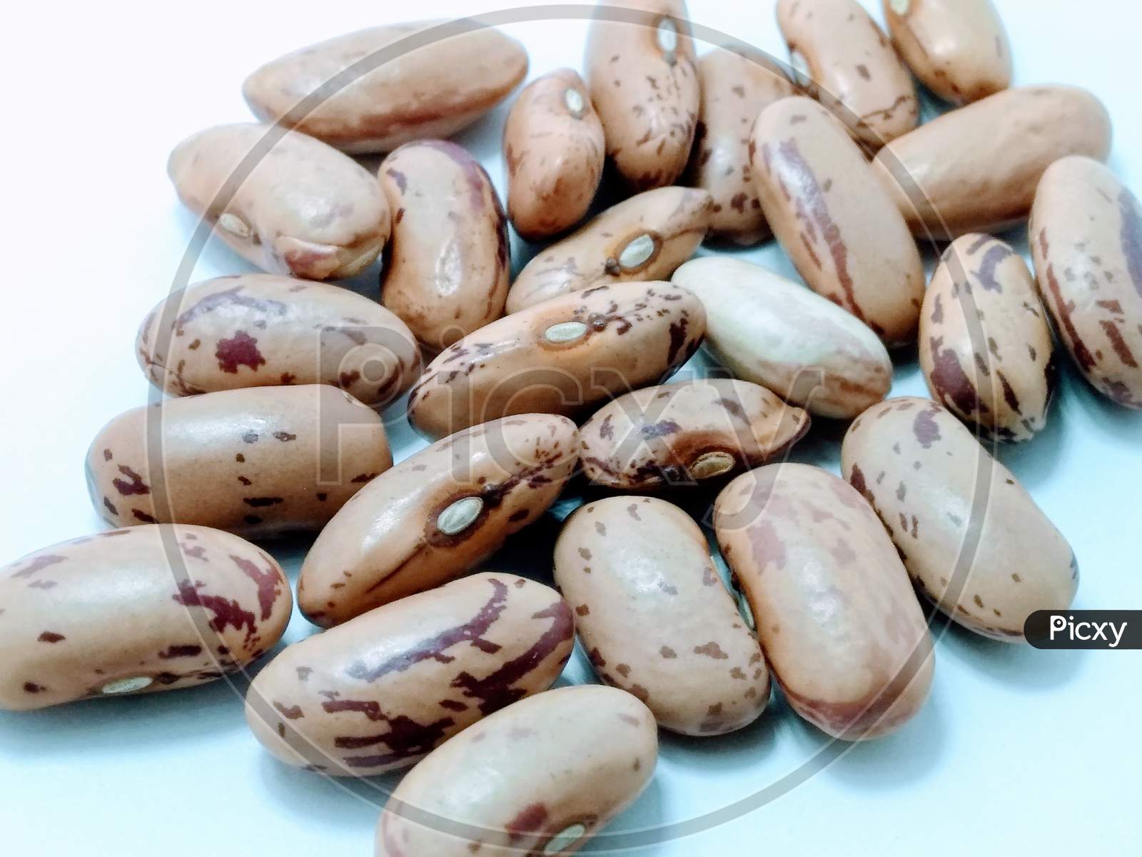 Kidney beans Over an Isolated White  Background