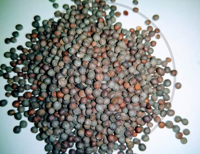Black mustard Seeds On White Background