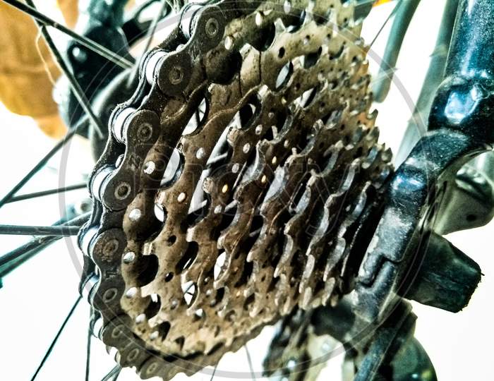 Gear Wheel To an Gear Bicycle Closeup