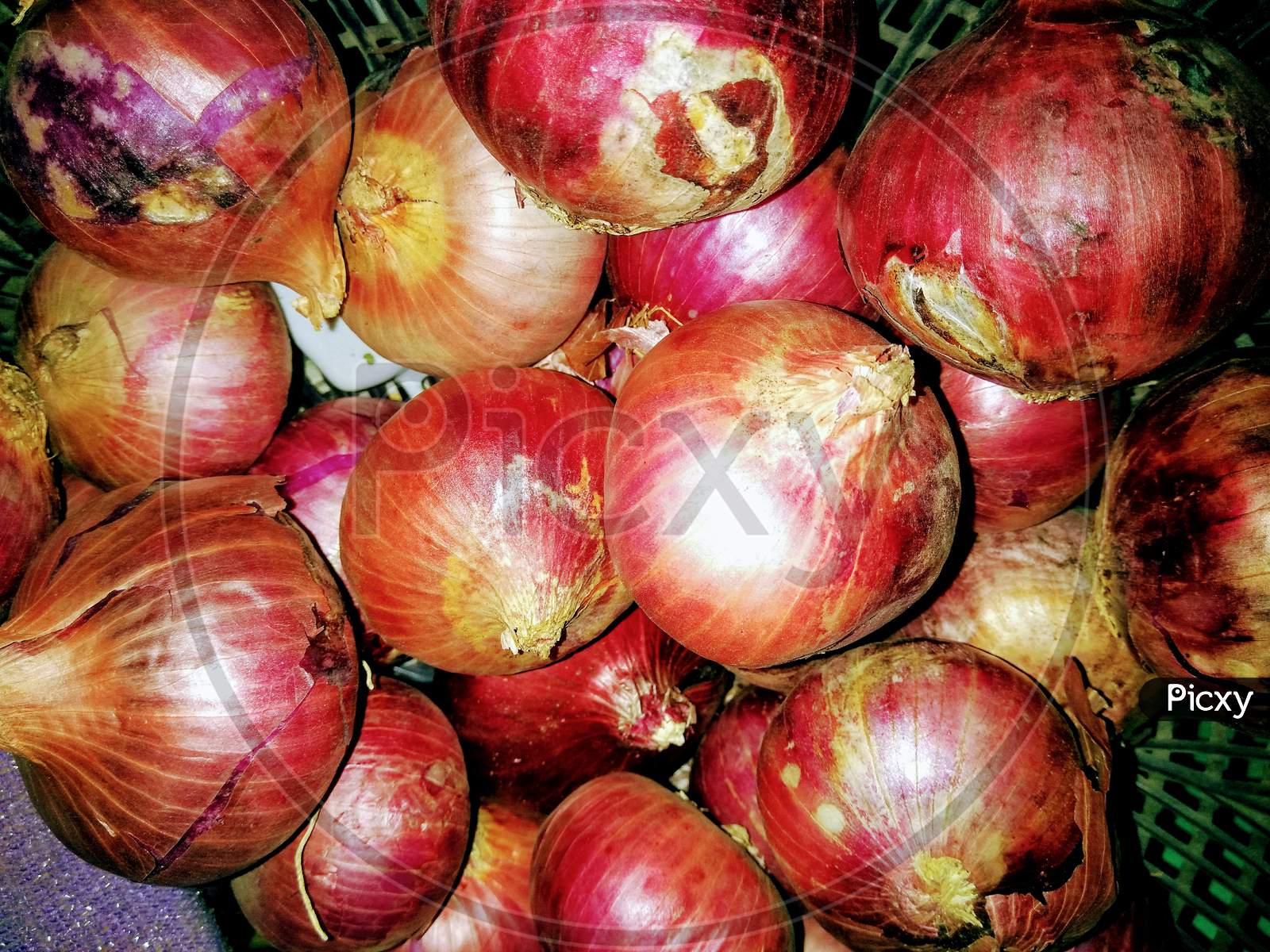 Red Onions Closeup Forming a Background