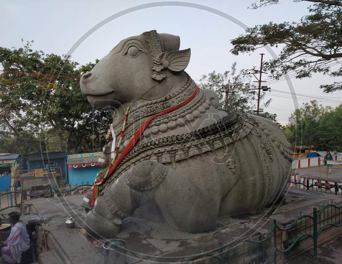 Large Nandi Statue carved in stone Hindu Temple Mysore Karnataka Nandi Hill Statue 11