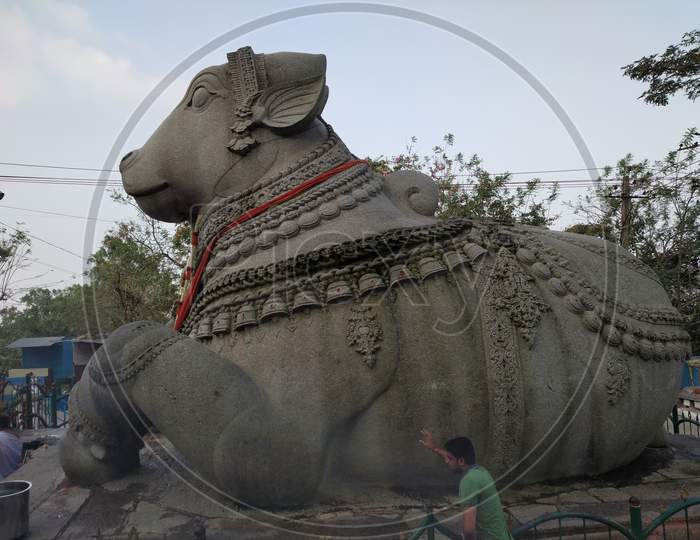 Large Nandi Statue carved in stone Hindu Temple Mysore Karnataka Nandi Hill Statue  14