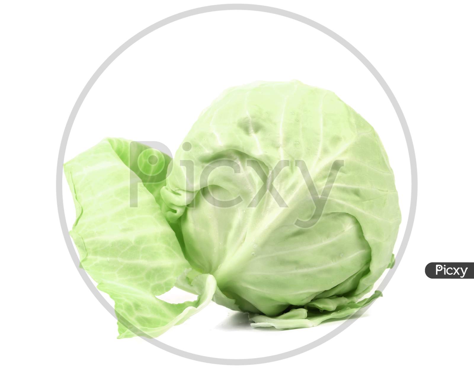 Whole Green Cabbage. Isolated On A White Background.