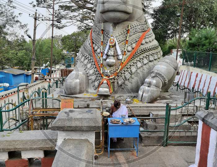 Large Nandi Statue carved in stone Hindu Temple Mysore Karnataka Nandi Hill Statue 18
