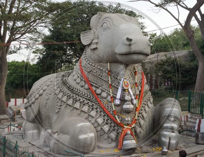 Large Nandi Statue carved in stone Hindu Temple Mysore Karnataka Nandi Hill Statue 7